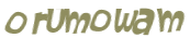 CAPTCHA 挑戰