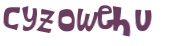 Wyzwanie captcha