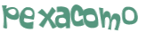 CAPTCHA 挑戰