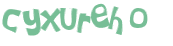 CAPTCHA 挑戰