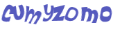 CAPTCHA 挑戰