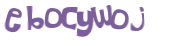 Wyzwanie captcha