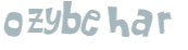 CAPTCHA 挑戰