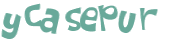 Captcha-Test