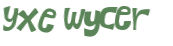 CAPTCHA 挑戰