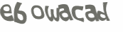 CAPTCHA 挑戰