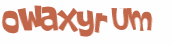 Wyzwanie captcha