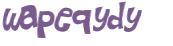 Wyzwanie captcha