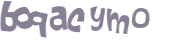 CAPTCHA 挑戰