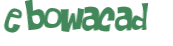 Wyzwanie captcha