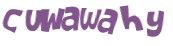 Captcha-Test