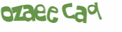 Desafio Captcha