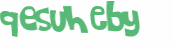 Captcha 챌린지