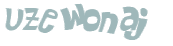 Wyzwanie captcha