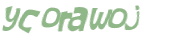 Wyzwanie captcha