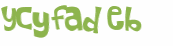 Sfida captcha