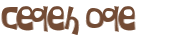 Desafio captcha