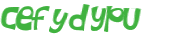 Captcha 챌린지