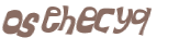 CAPTCHA 挑戰