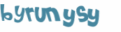 Captcha 챌린지