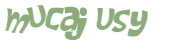 Captcha 챌린지