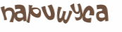 CAPTCHA 挑戰