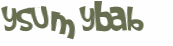 Sfida captcha