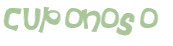 Captcha 챌린지