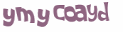 Captcha 챌린지