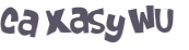 Wyzwanie captcha