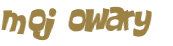 Wyzwanie captcha