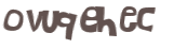 CAPTCHA 挑戰