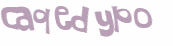 Captcha 챌린지