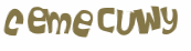 Captcha-Test