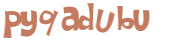 Desafio captcha