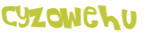 Wyzwanie captcha