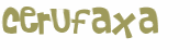 CAPTCHA 挑戰