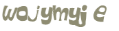 Wyzwanie captcha
