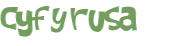 Captcha 챌린지