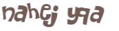 CAPTCHA 挑戰