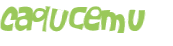 Captcha 챌린지