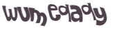 CAPTCHA 挑戰