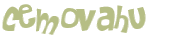CAPTCHA 挑戰