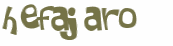 CAPTCHA 挑戰