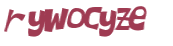 CAPTCHA 挑戰