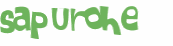 Desafio captcha