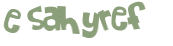 Captcha 챌린지