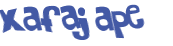 Captcha 챌린지