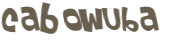 CAPTCHA-haaste