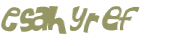 Sfida captcha